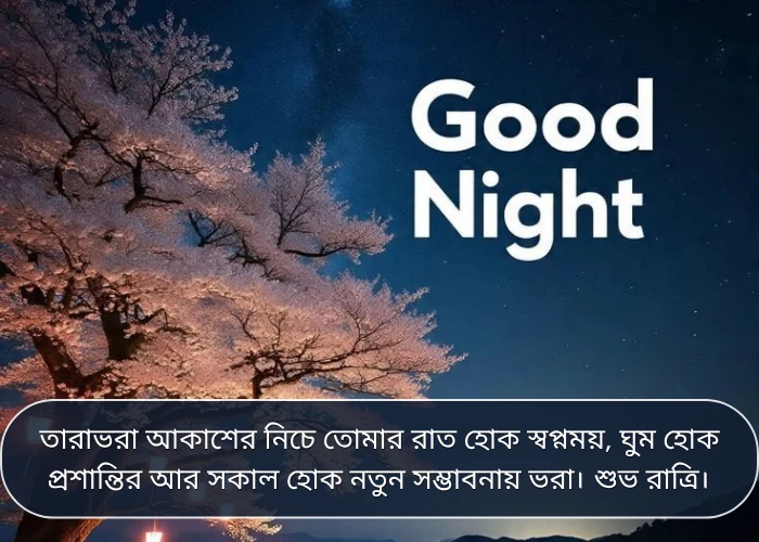 Good Night Quotes in Bengali Good Night Quotes in Bengali