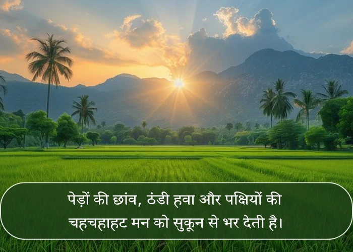 Peace Nature Quotes Peace Nature Quotes
